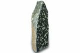 Free-Standing Polished Chinese Writing Rock - Australia #317920-1